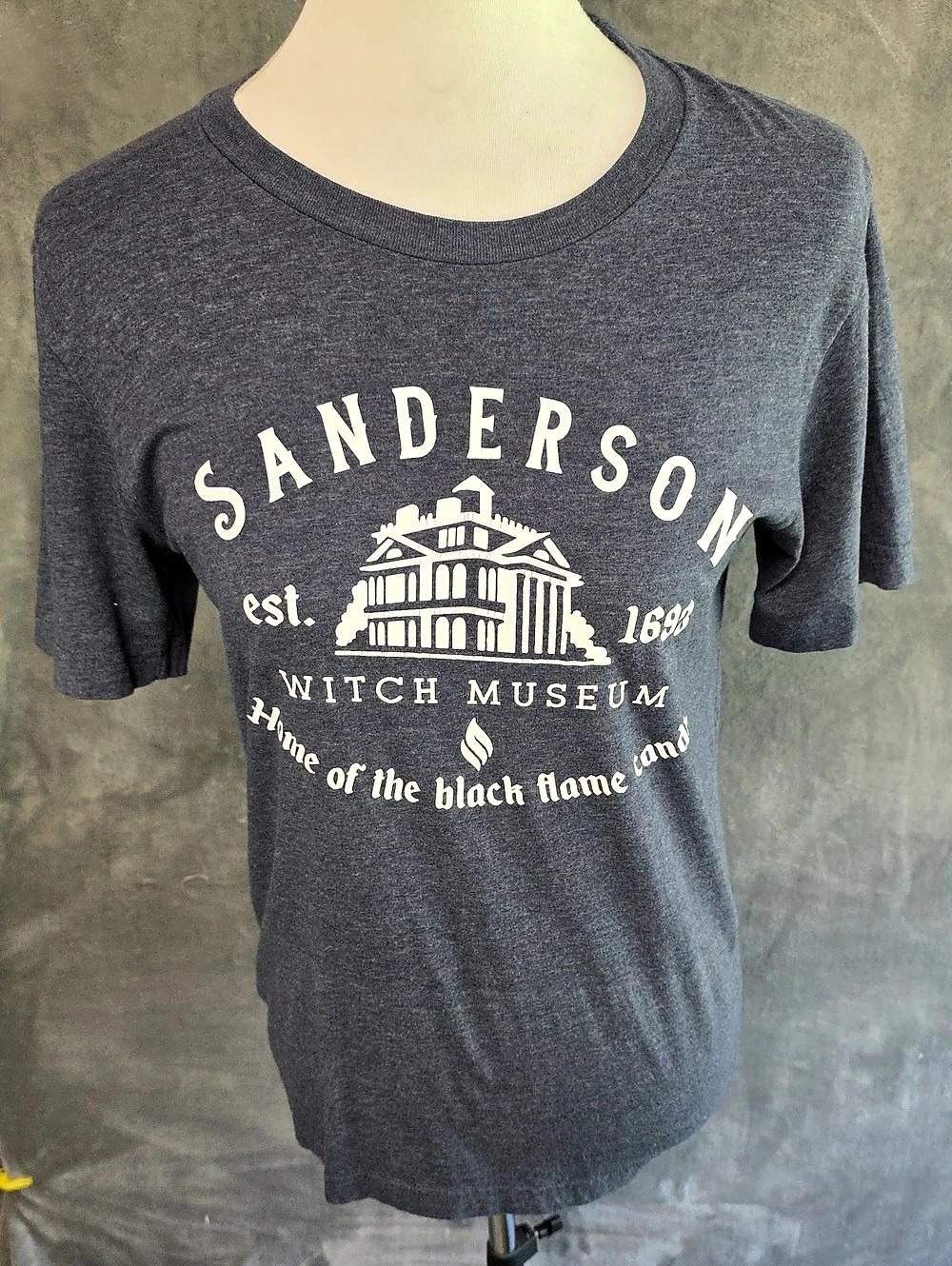 Canvas Witch Museum Sanderson Graphic Tee Gray Small